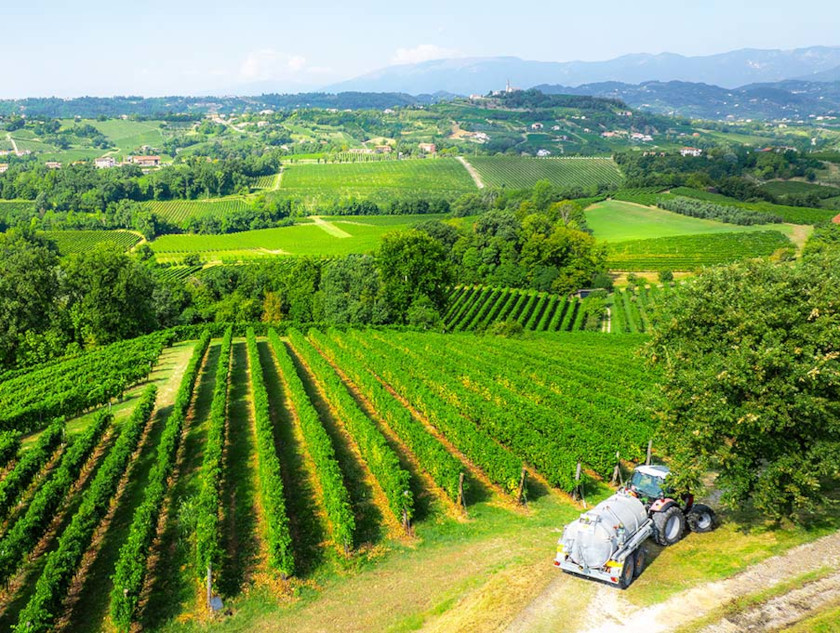 Concimazione naturale Rebuli