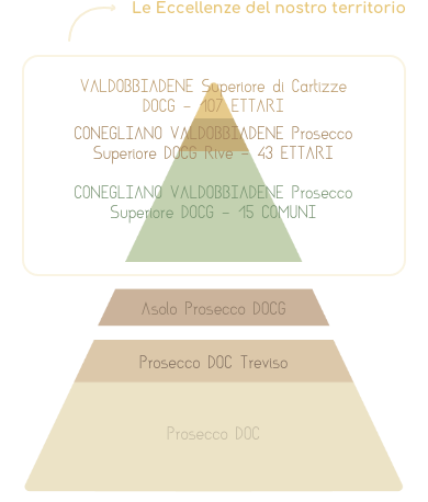 Piramide qualitativa Prosecco Rebuli_mobile