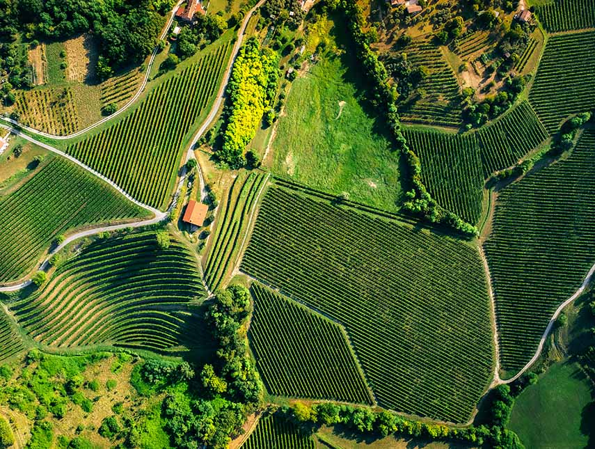 Valdobbiadene la culla del prosecco Rebuli